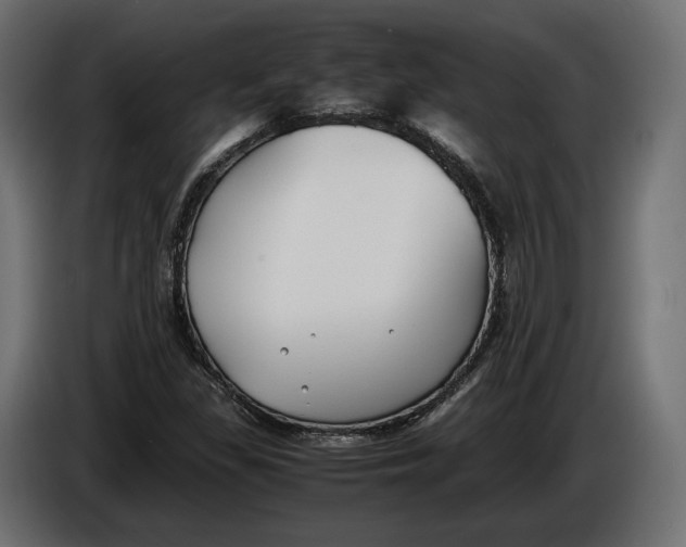 X0000086011309200704131819