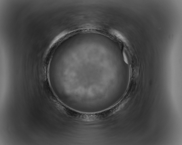 X0000086011310200704131819