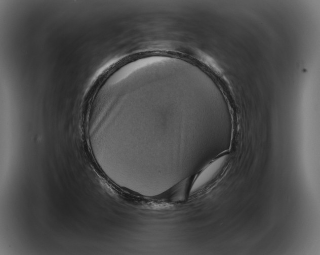 X0000086011312200704131819