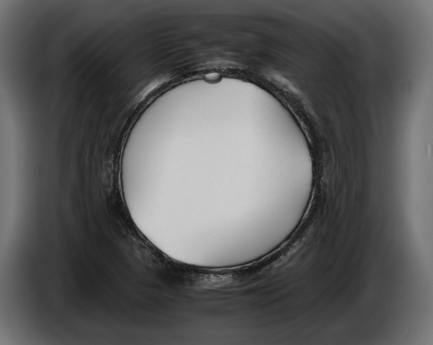 X0000086011313200704131819