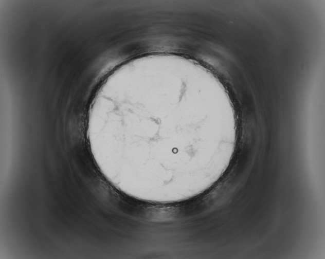 X0000086011314200704131819