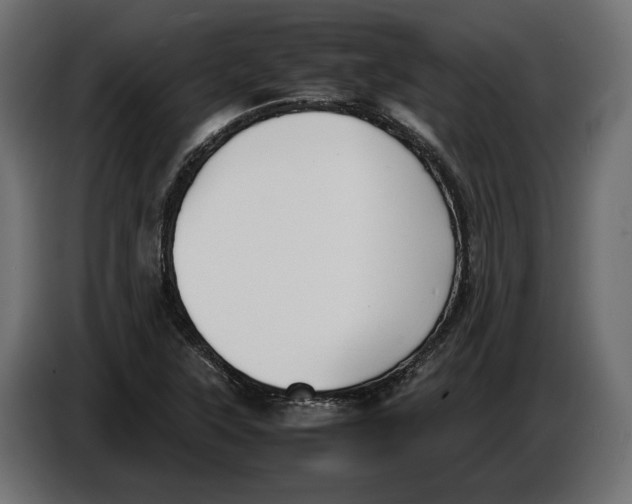 X0000086011315200704131819