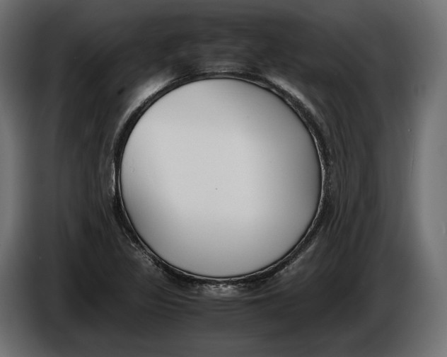 X0000086011317200704131819