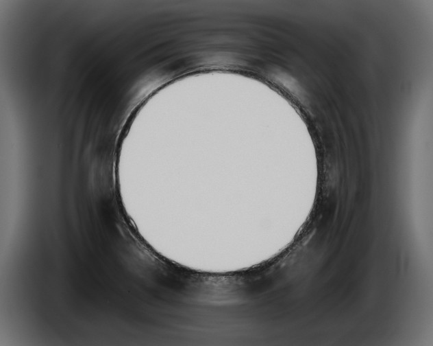 X0000086011322200704131819