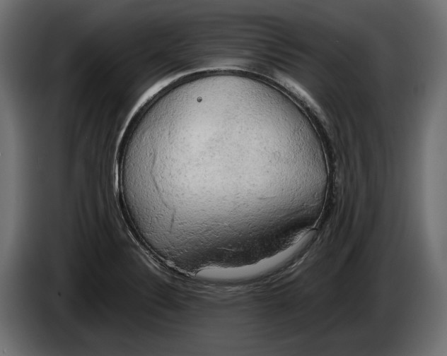 X0000086011324200704131819