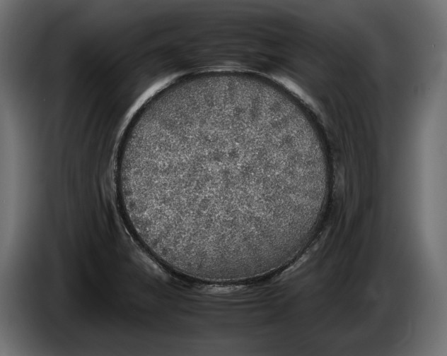 X0000086011325200704131819