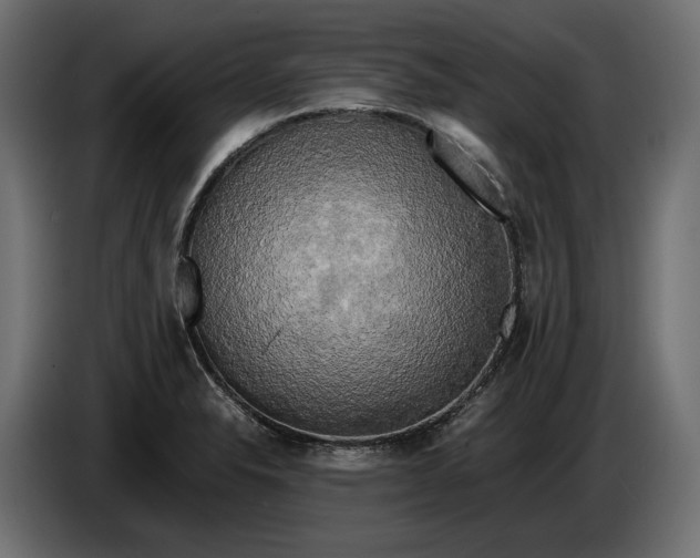 X0000086011326200704131819