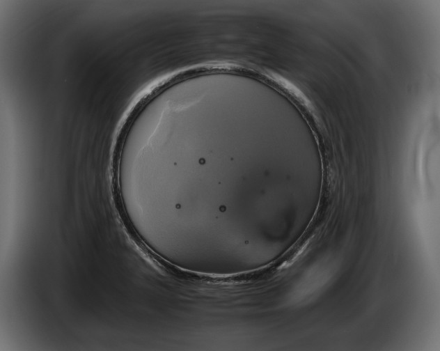 X0000086011327200704131819