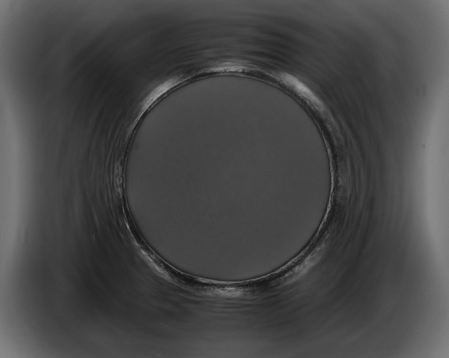 X0000086011329200704131819