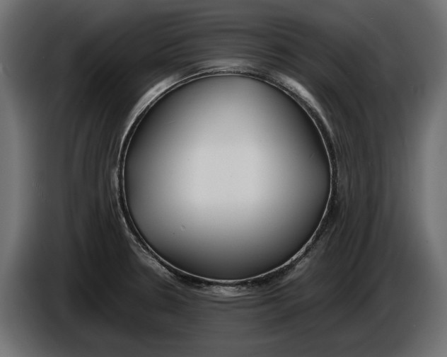 X0000086011330200704131819