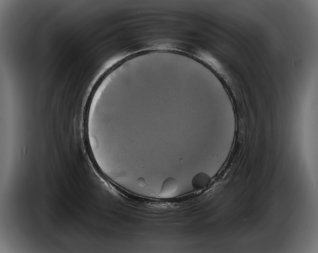 X0000086011331200704131819