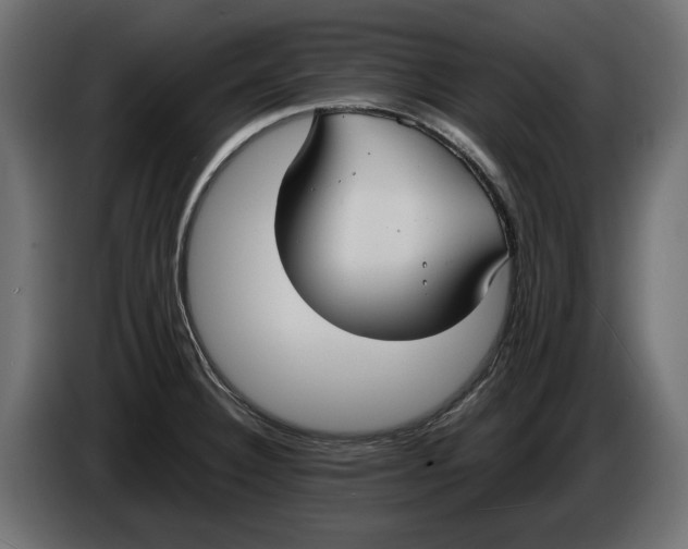X0000086011332200704131819