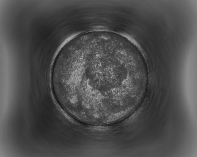 X0000086011333200704131819
