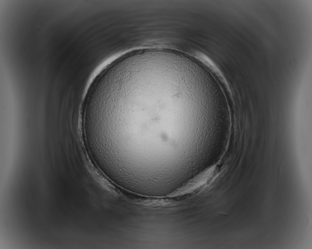 X0000086011336200704131819