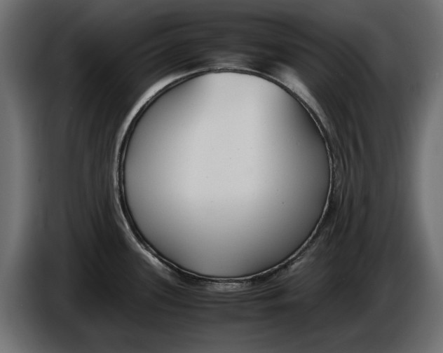X0000086011339200704131819