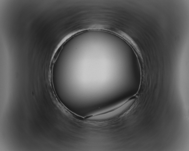 X0000086011340200704131819