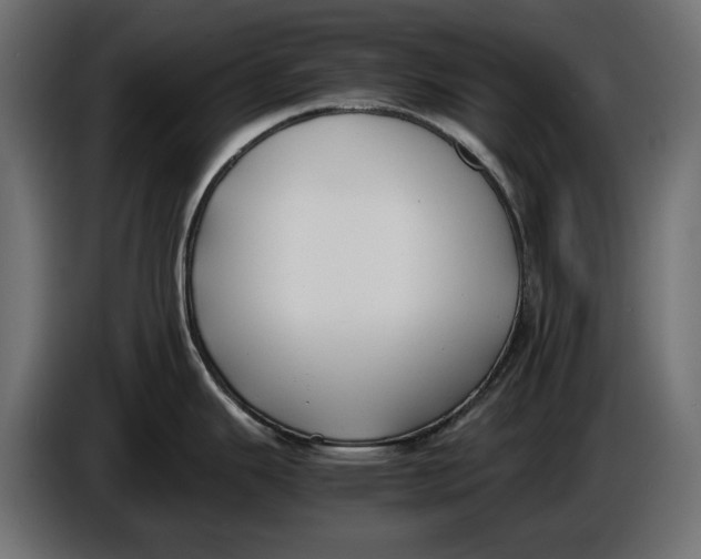 X0000086011343200704131819
