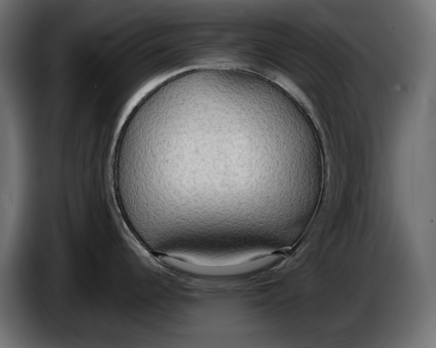 X0000086011344200704131819