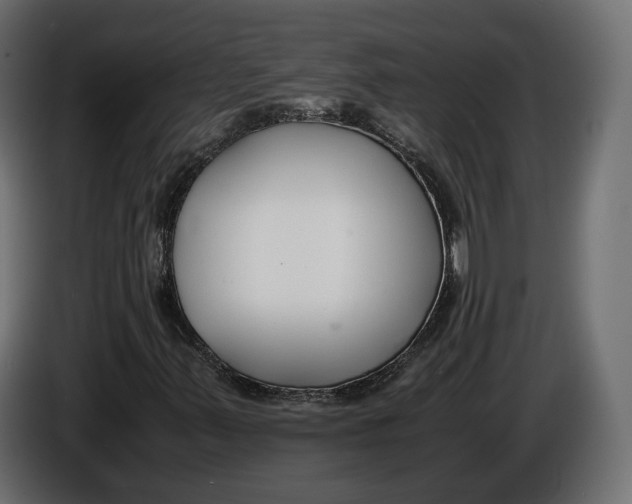 X0000086011347200704131818