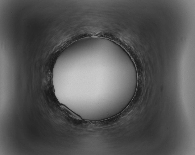 X0000086011349200704131818