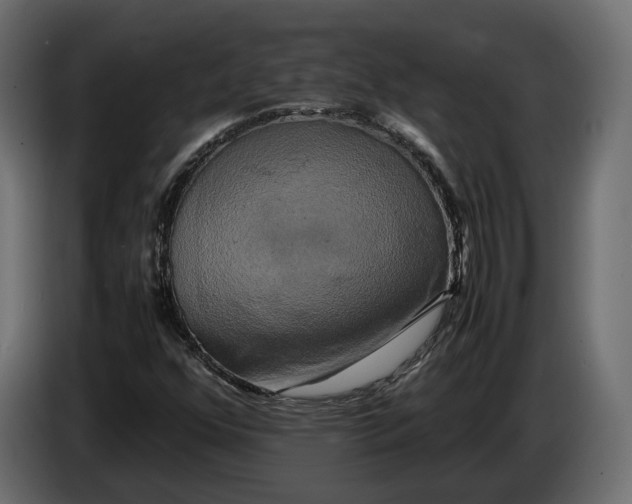 X0000086011352200704131818
