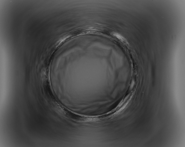 X0000086011353200704131818