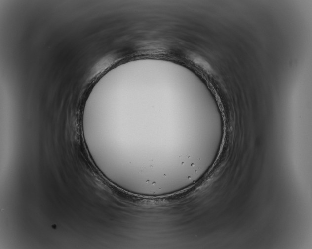 X0000086011354200704131818
