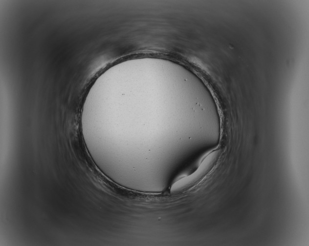 X0000086011355200704131818