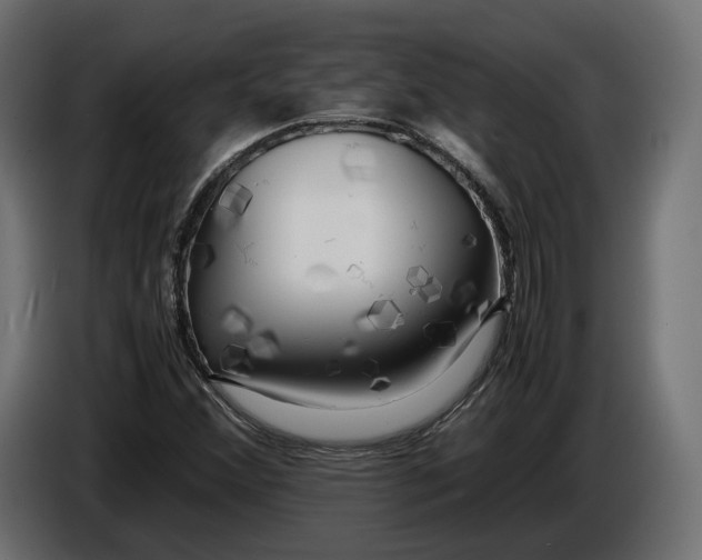 X0000086011356200704131818