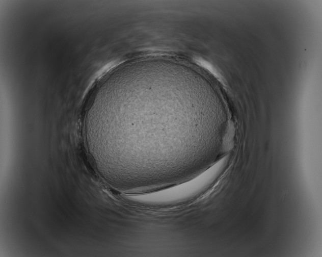 X0000086011357200704131818