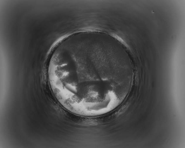 X0000086011358200704131818