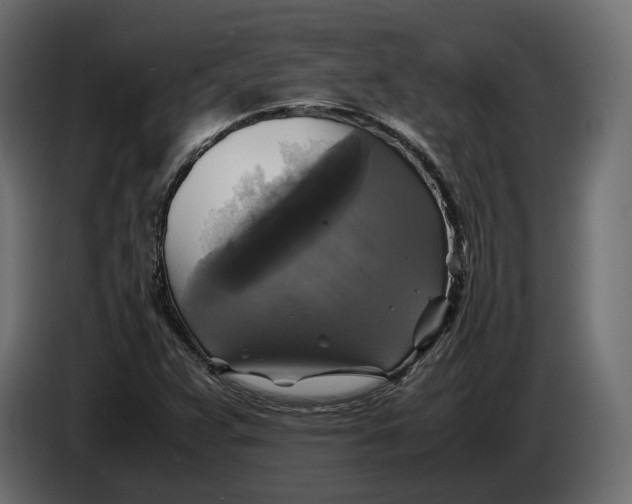 X0000086011359200704131818