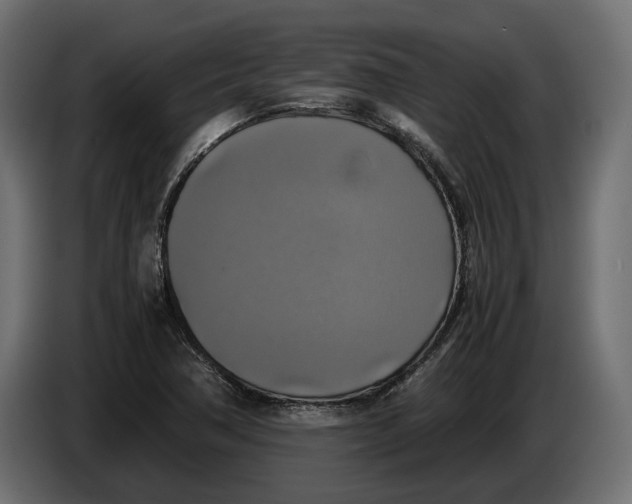 X0000086011362200704131818