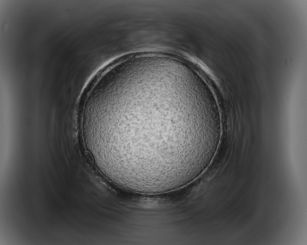 X0000086011364200704131818