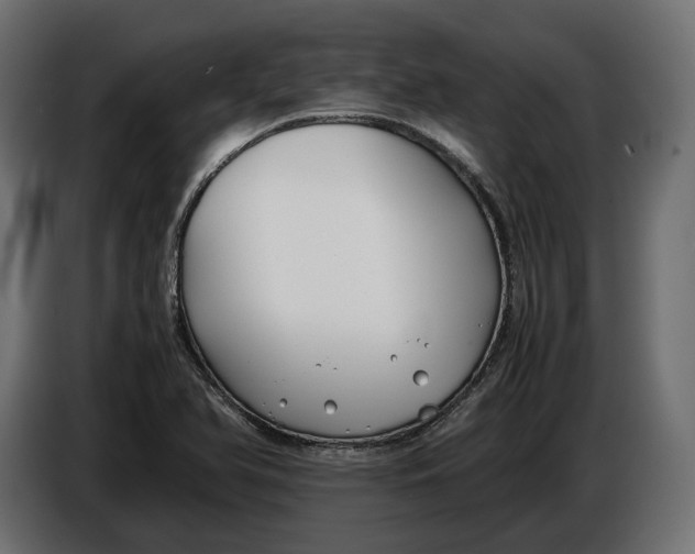 X0000086011366200704131818