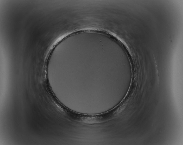X0000086011367200704131818