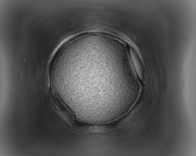X0000086011368200704131818