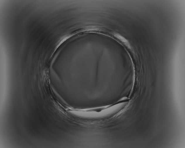 X0000086011369200704131818