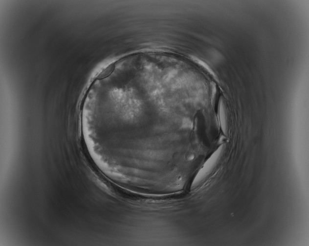 X0000086011371200704131818