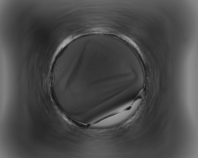 X0000086011373200704131818