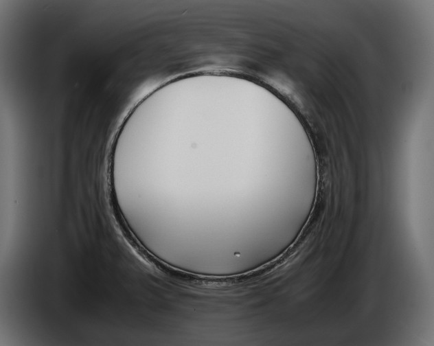 X0000086011375200704131818