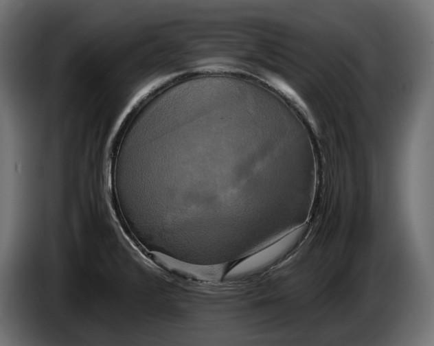 X0000086011376200704131818