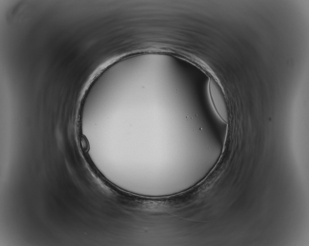X0000086011379200704131818