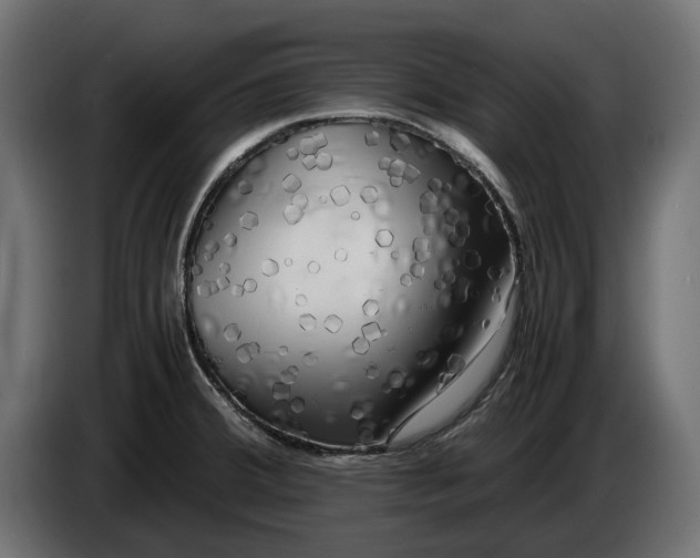 X0000086011380200704131818