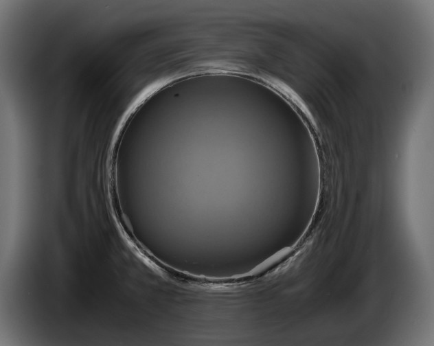 X0000086011381200704131818