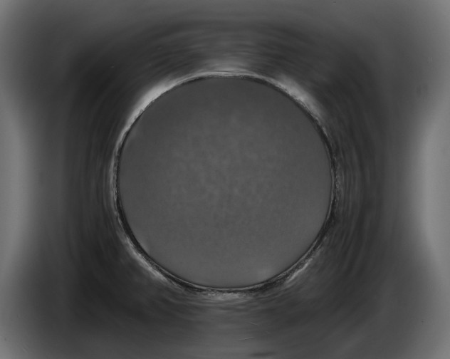 X0000086011382200704131818