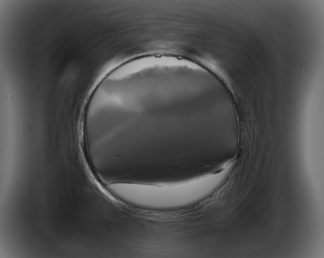 X0000086011383200704131818