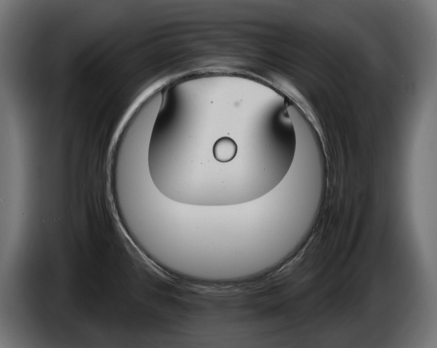 X0000086011384200704131818