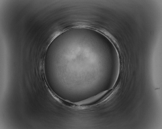 X0000086011385200704131818
