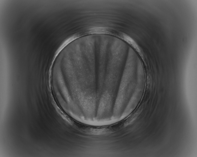 X0000086011386200704131818